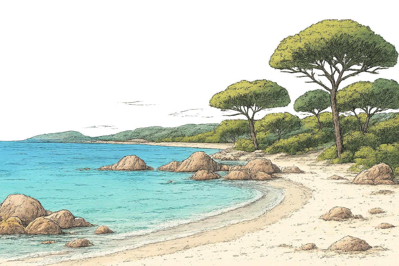 plage de palombaggia avis